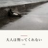 『大人は判ってくれない』の記事カバー画像