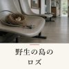 『野生の島のロズ』の記事カバー画像