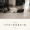 『ベイビーわるきゅーれ』の記事カバー画像
