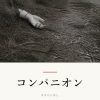『コンパニオン』の記事カバー画像