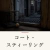 『コート・スティーリング』の記事カバー画像